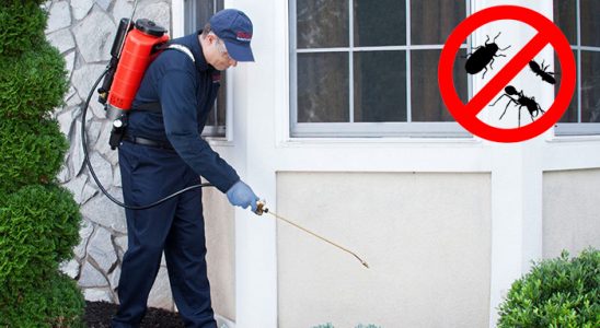 Arapgir Bit İlaçlama böcek ilaçlama ve haşere kontrolü — ilaclama-tr.com
